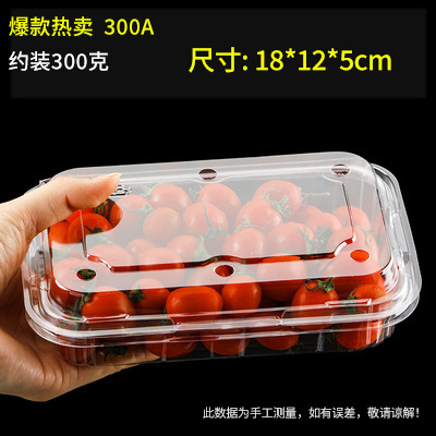 フルーツ包装箱卸売 PET ブリスターイチゴスイカ箱蓋付きスーパーマーケット透明プラスチックフルーツボックス肥厚|undefined