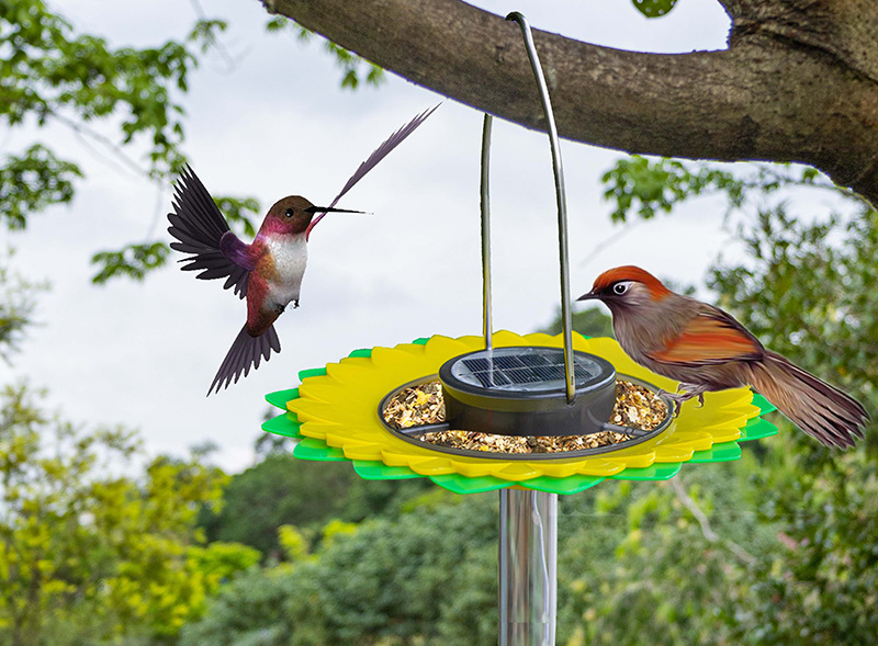 815c483c41b13869cf3393bef6742e