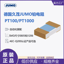 ��JUMO��ï��Ĥ�K���ضȂ�����Pt100/Pt1000�僽��c906141