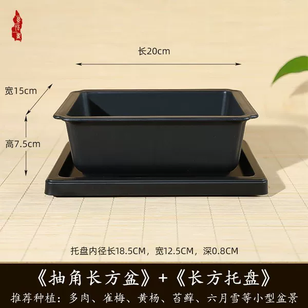 Rectangular, 20cm, 15cm, 7.5cm