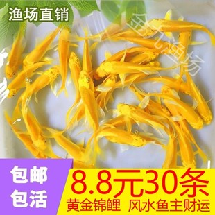 ��ˮ�^�p�~����wС���~��С�~����ˮ�~��С�\�����P�������Lˮ�~