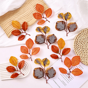 �¿������~�٘��~ 4Ƭ�A���ȼ��� �������~�b� ��c·��