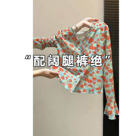 【仅用于产品展示勿拍】-法式复古网纱碎花V领长袖T恤女夏季2026