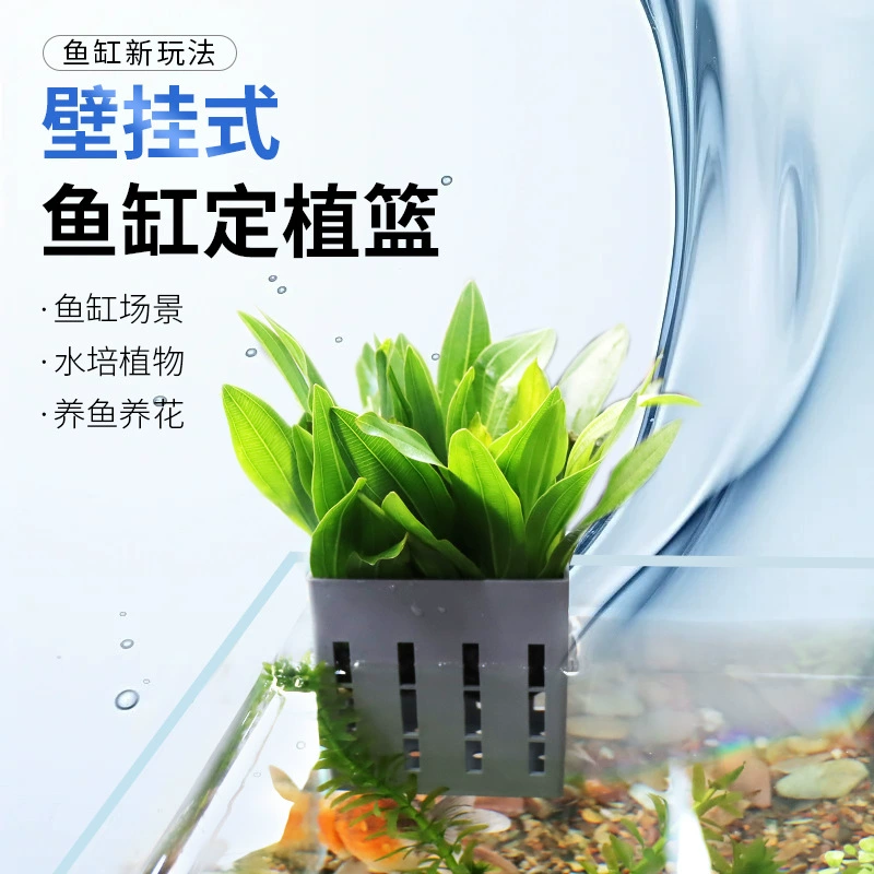 Аквариум гидропонное растение корзина для домашнего хозяйства водная трава посадка чашка настенный водяной завод корзина для посадки рыбы аквариум декорация