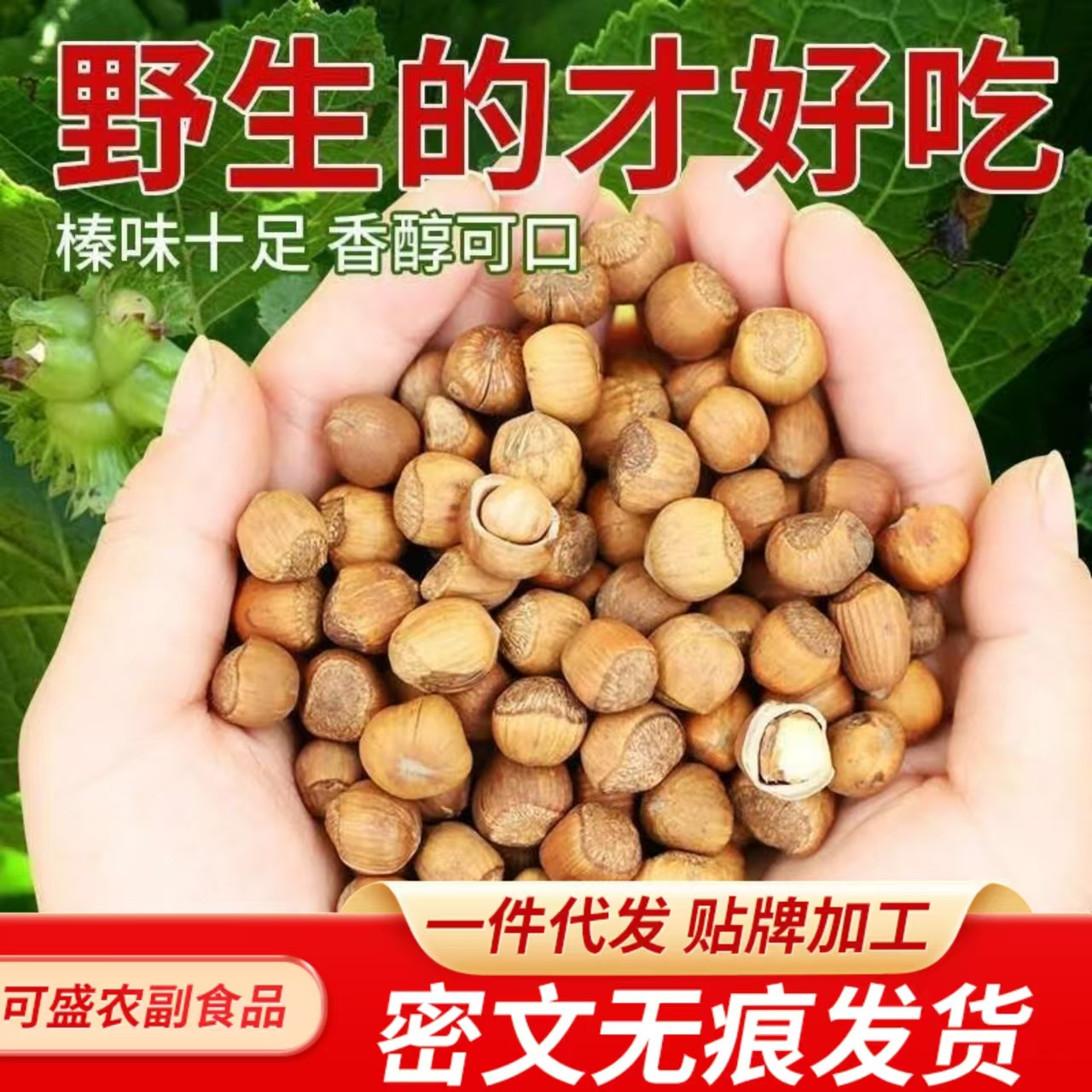 一件代发大榛子东北特产500g  批发新鲜开口野生棒子虎皮臻子