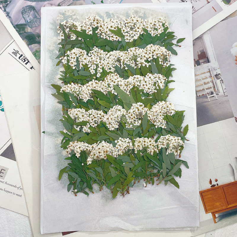 微信图片_20220918005501