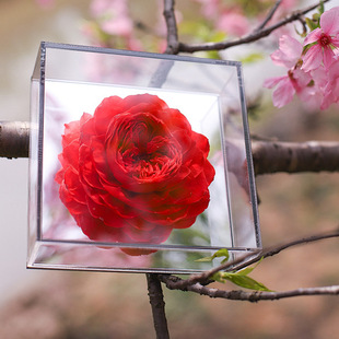 ��ș�������������Y��͸��������Ů���|�����˹��Y��õ��ɻ���Ʒ