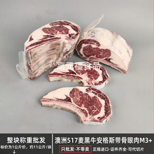 ����517�S����ţ����˹��������M3+ ԭ��ѩ���̑� ���Ϳ���ţ��