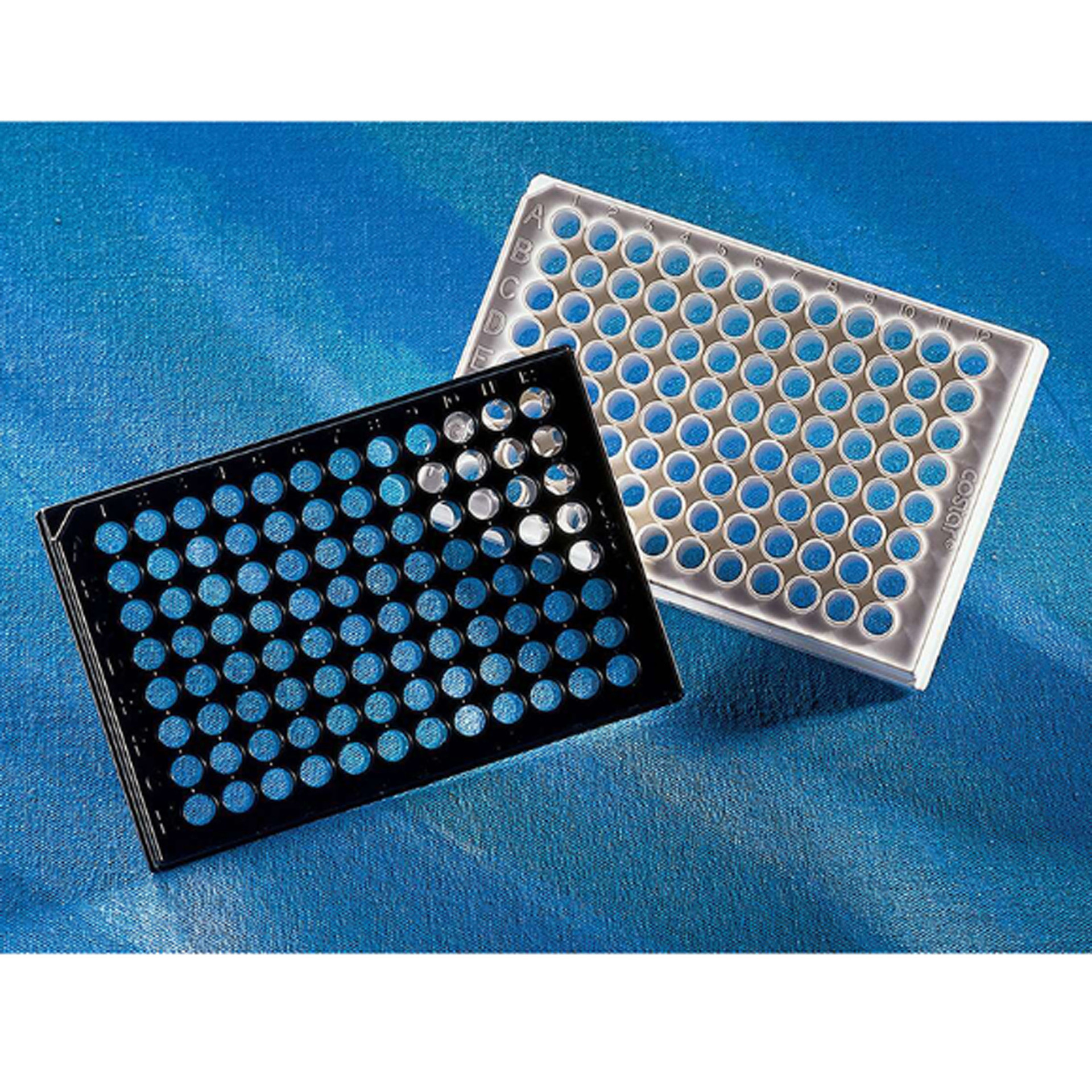 Corning 3610 96孔板,白色,透明平底带盖,1个/包，48包/箱