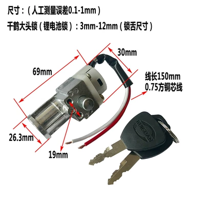 Silverfish Style Electric Bicycle Lithium Other Electric Vehicle Accessories