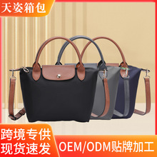 �ϰ���ͨ�ڴ��������ذ�Ů2026�¿�μ����Ӱ��ٴ�p�������
