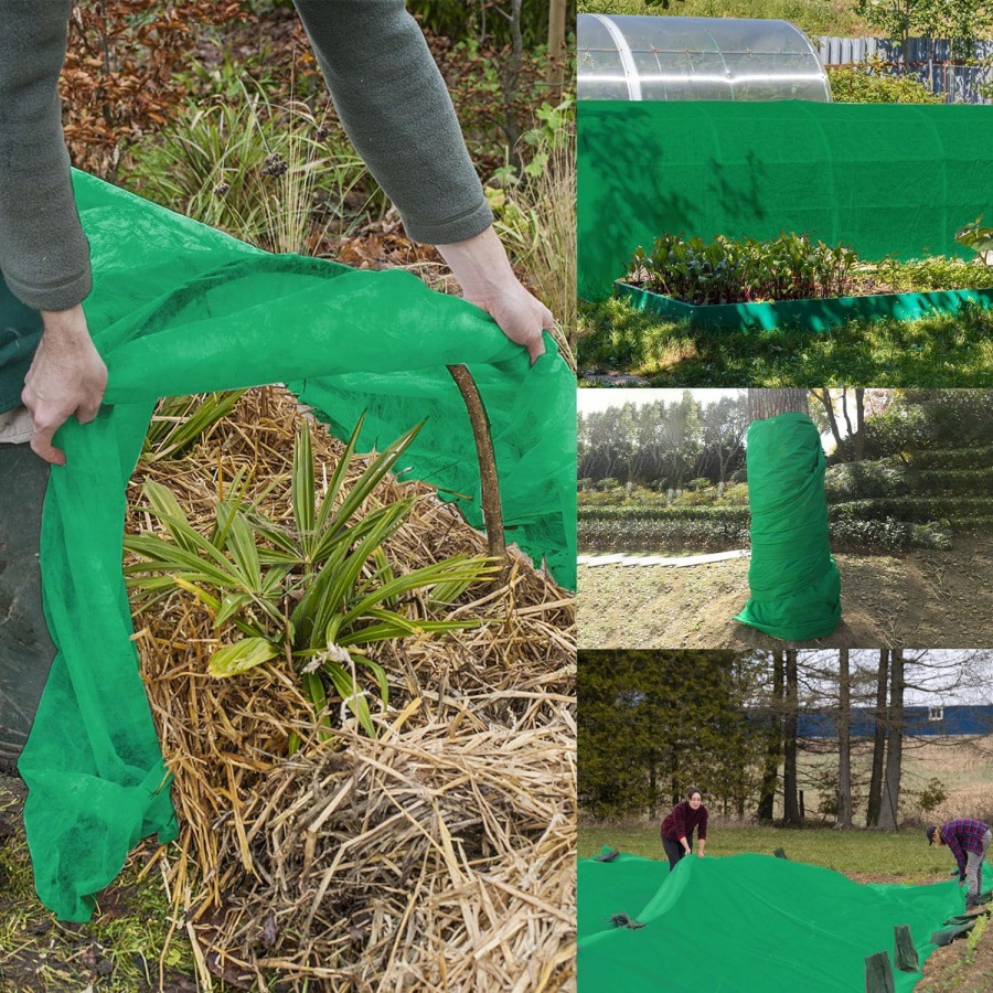 91-G7DUbzoL._AC_SL1500_