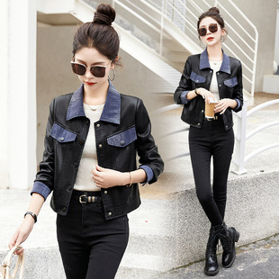 2025�����¿�r�К��|���I���ſ��@�������̿�ƴ�Ӿd��Ƥ������Ů