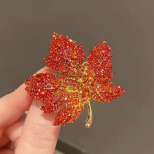 ��ᘸߙnŮ���¼��ô�tɫ���~�eᘏ͹�С����q�����ػ����|�͹�