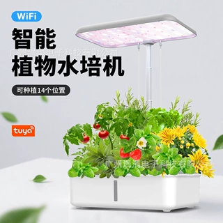 WiFi室内智能花盆水培种菜机无土栽培设备植物观察盆蔬菜种植箱