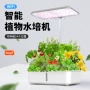 植物水培观察wifi种植箱
