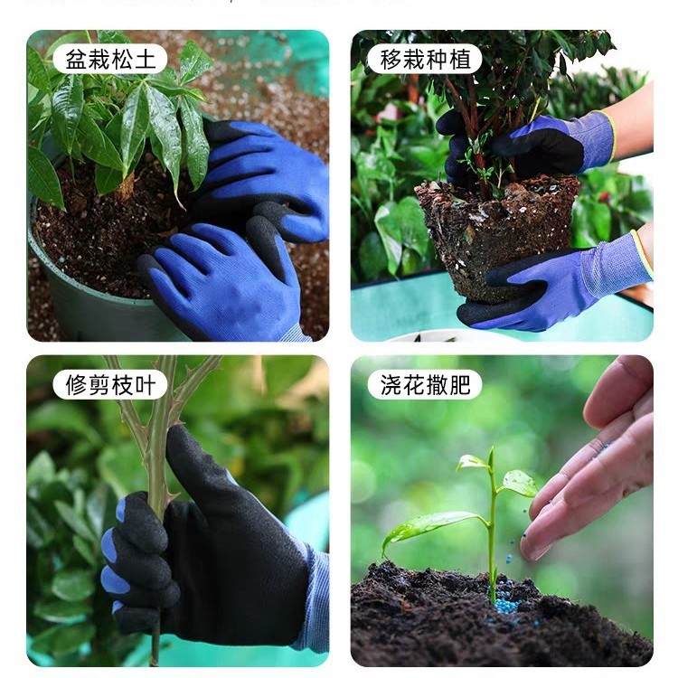 tb_image_share_1676899621717_副