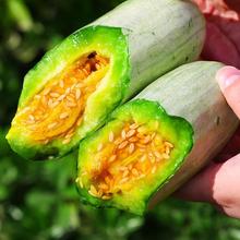 �������ϷN�� ��ͥСԺ�Nֲˮ���N���ļ����N���ΠI�B�߲�