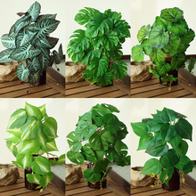 ����ֲ���Gֲ�������˹����ݱڒ��҃ȾGɫ�b��̨������