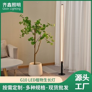 (biG Promotion) G11 40W Succulent FloWerinG and Fruits Plant GroWth Fill LiGht Plant ColorinG Fruit BriGhteninG