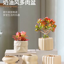 �����մɱ��W���ö��⻨��ins�����L�����m�m�����С̖�Gֲ�辰