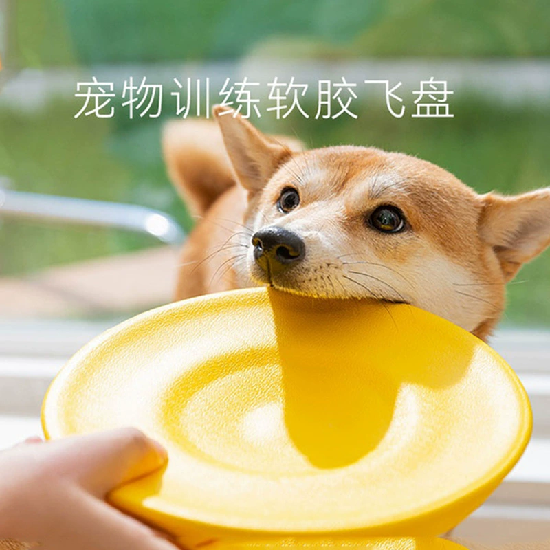 Фрисби для собак Плавающая игрушка Устойчивый к укусам Домашнее животное Дрессировка собак Специальный маленький Дразнилка для собак Мягкий корги Тедди Чай Собака на открытом воздухе