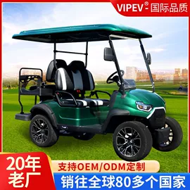 电动观光车;高尔夫球车;其他电动车