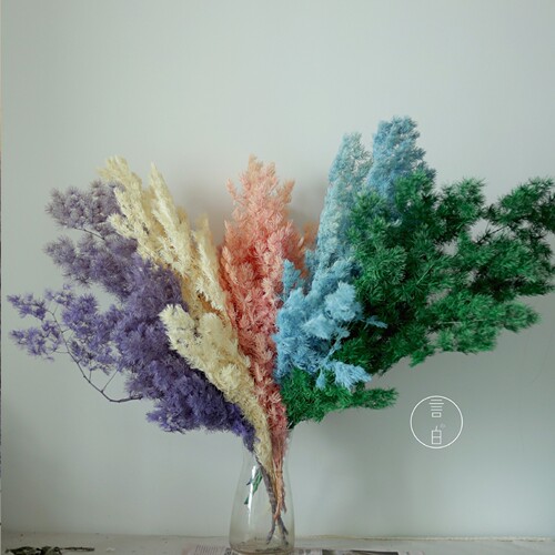 Immortal Penglai pine, cedar, hydrangea pine, preserved flowers and dried flowers. Directly approved by the manufacturer for wedding scene arrangement and flower material wholesale.