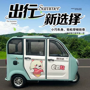 Enclosed Electric Tricycle for Household Use