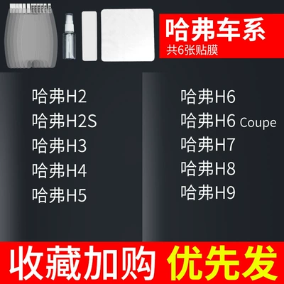 Portal Wrist, Protective Cover Transparent Outside the Car - exclusively-for-haval-6-piece-pack-remark-model-year