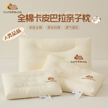 A�ȫ�ރ�ͯ������^�W�������˵���о�H�ӿ�M�ϼ��ރ�ͯ������