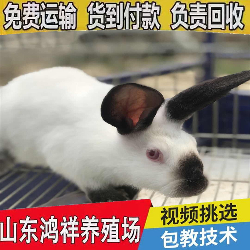 2e544022657847ba858e55d3604e7c