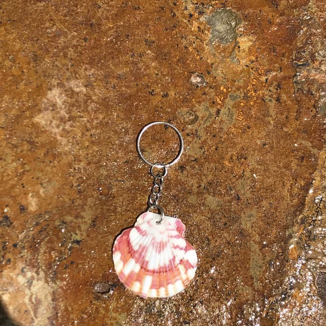 공작 가리비 열쇠고리