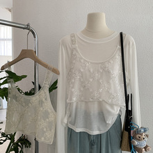 �W���R �ع������Ƭ���w�P���b̿�ٴ�W��΢͸�������� 3966