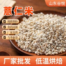 �S�����l�͜غ決��޲���׬Fĥ����ȴ��ͷ�ʳșͬԴ޲����