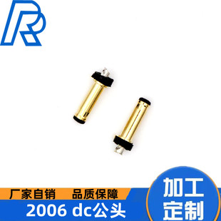 2.0dc�^ dc2006���湫�^9.0L僽� 2006dcĸ�^ �{�����C�Դ���^