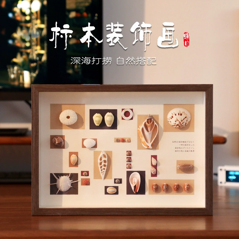 ❈ Натуральная ракушка, образец ракушки, подвесная картина, ремесленные украшения, производитель фоторамки
