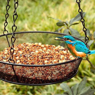 New Hanging disc Bird Feeder Hanging Bird Feeder Tray iron chain disc Feeder