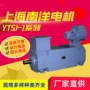 南洋上海三相变频电动机