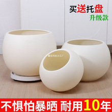 �p�ݸ߼��И�֬�����̖�����L�ڽ�����Ƥ������A���δ���͏d