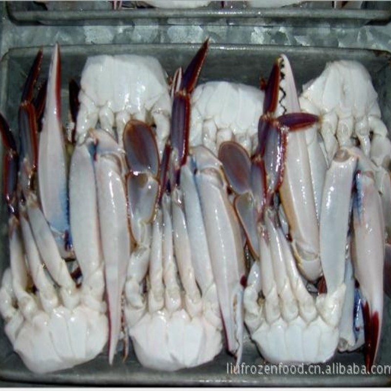 批发 冷冻切蟹 舟山梭子蟹  冷冻蟹块商用 自助餐海鲜食材
