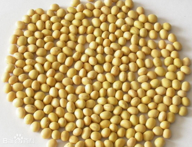 ���ӽ�ԭ����I�ϳɿ��忹˥�ϻ�����