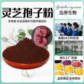98%破壁灵芝孢子粉现货供应灵芝三萜多糖品质保障破壁灵芝孢子粉