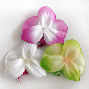 5cm���潁����������m���^ �����c�b�DIY�廨�^����ֹ����^