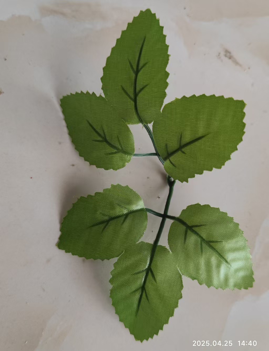 微信图片_20250425150405