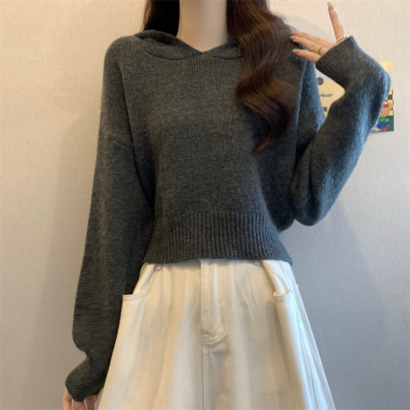 2025 フード付きセーター女性の春と秋の新しいスタイルソフトワックス状ショートスタイル怠惰なルーズ痩身プルオーバーニットトップ|undefined