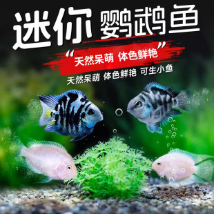 �����W�^�~���^�p�~�Ꭷ�~С�͵�ˮ�^�p�ͻ���ˮ�W�^�~�N�~�ɷ�ֳ