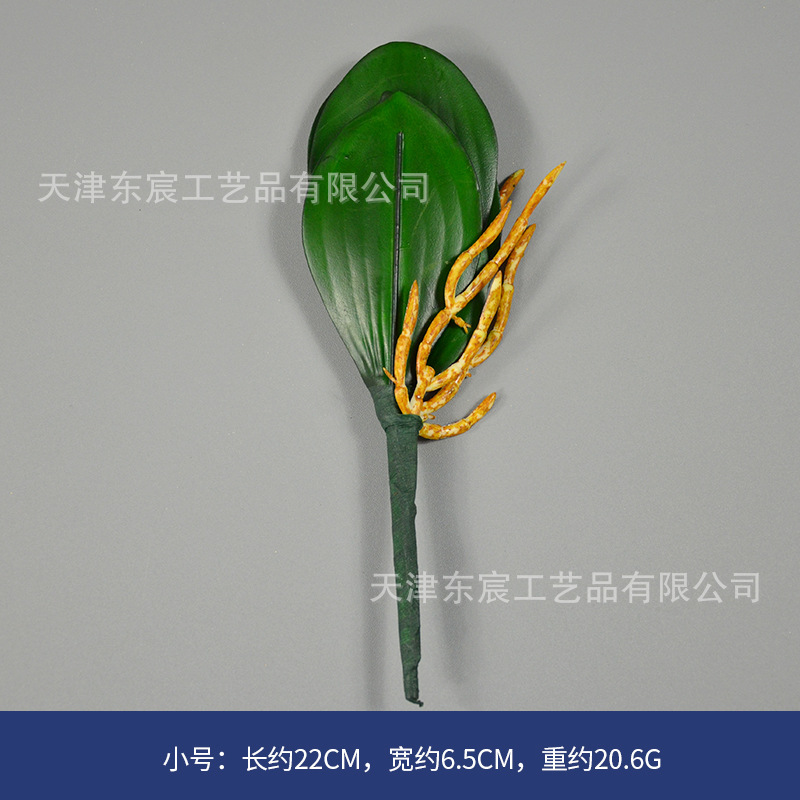스몰 사이즈