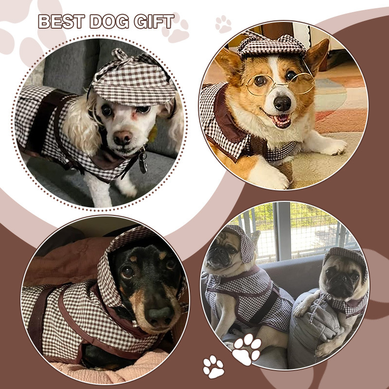 微信图片_20240823104155