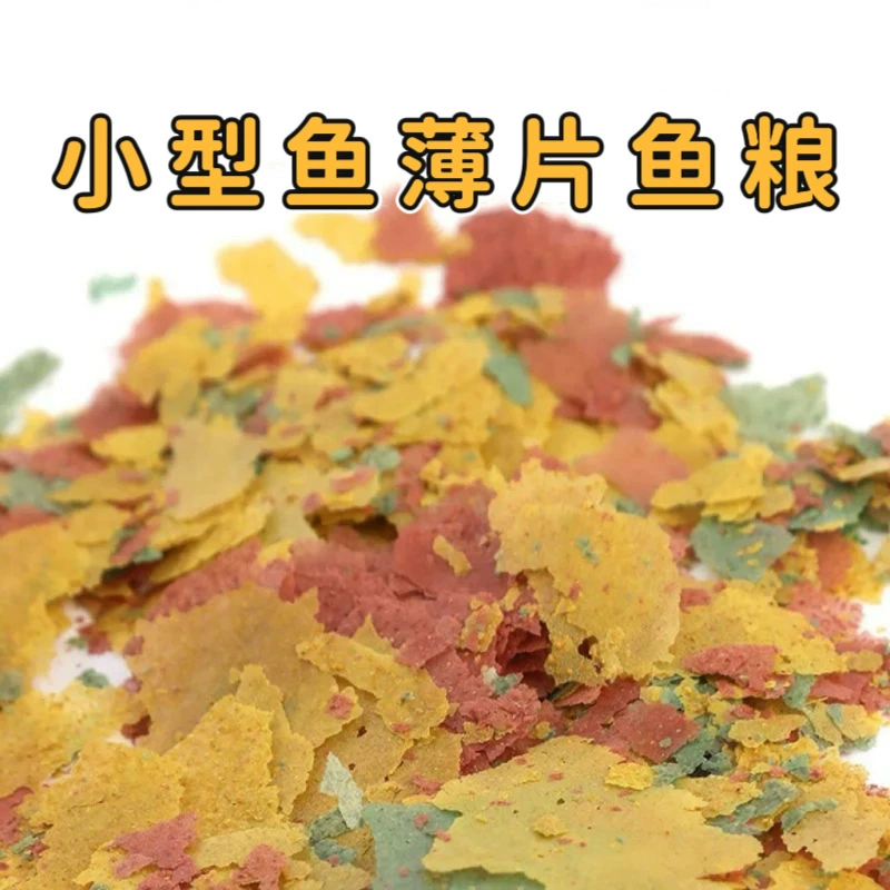 Рыба, тропическая рыба, мелкая рыба, тонкая рыба, корм, гуппи, рыба, ведра, фея, легкая рыба, плавающая рыба, еда, оптовая продажа